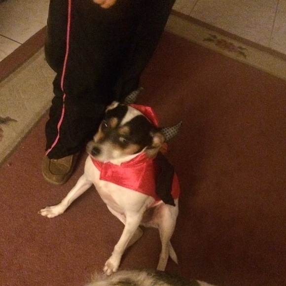 PFACTOR Quality Products @ Bargain Prices - Picture 10 of 12